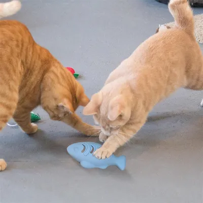 IntiMeg Jouets à mâcher pour chat