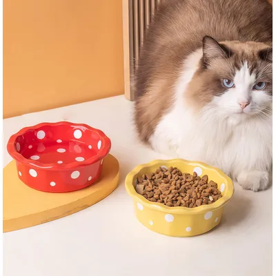 IntiMeg Bol de Nourriture Pour Chats et Chiens