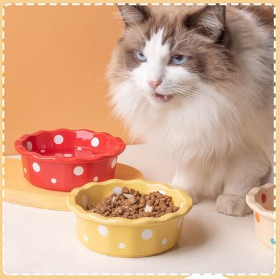 IntiMeg Bol de Nourriture Pour Chats et Chiens