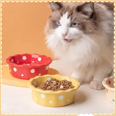 IntiMeg Bol de Nourriture Pour Chats et Chiens