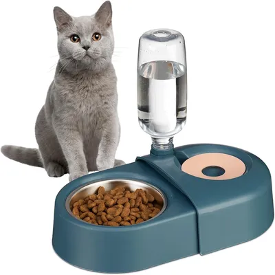 IntiMeg Distributeur d’eau et de nourriture 2-en-1 pour chien et chat