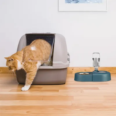 IntiMeg Distributeur d’eau et de nourriture 2-en-1 pour chien et chat