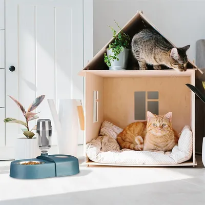 IntiMeg Distributeur d’eau et de nourriture 2-en-1 pour chien et chat