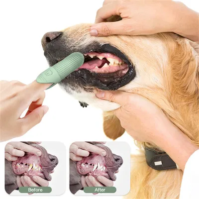IntiMeg Cepillo de dientes de dedo para perros y gatos