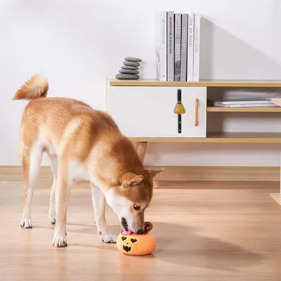 IntiMeg Cloche d'entraînement