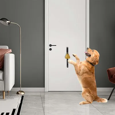 IntiMeg Cloche d'entraînement