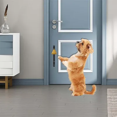 IntiMeg Cloche d'entraînement