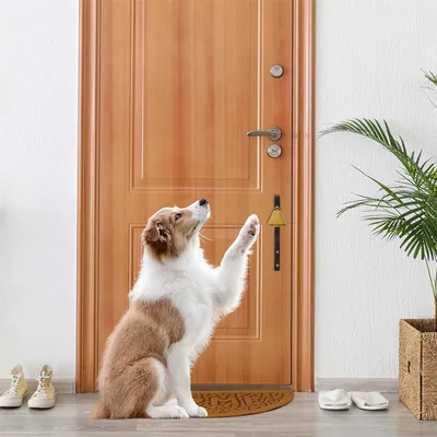 IntiMeg Cloche d'entraînement