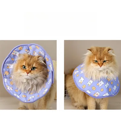 IntiMeg Collier de récupération postopératoire