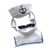 IntiMeg Costume de marin pour chat et chien