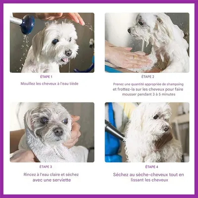 FurryFusion Shampooing universel pour chien