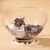 FurryFusion Lit pour chat capsule spatiale FurryFusion Lit pour chat capsule spatiale