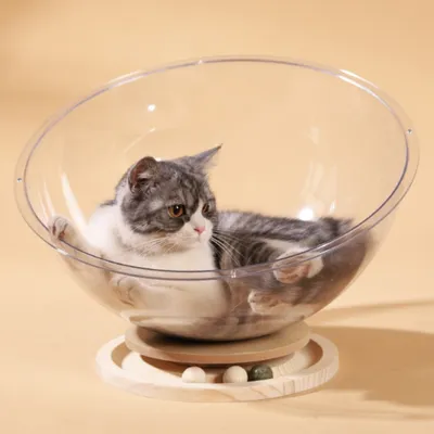FurryFusion Lit pour chat capsule spatiale FurryFusion Lit pour chat capsule spatiale