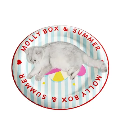 FurryFusion Coussin de refroidissement pour chat et chien