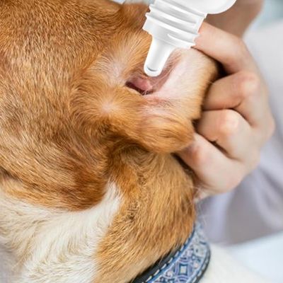 FurryFusion Nettoyant Oreille Chien et Chat