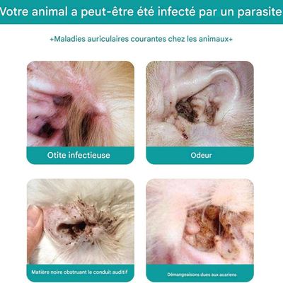 FurryFusion Nettoyant Oreille Chien et Chat