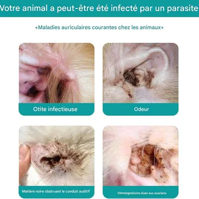 FurryFusion Nettoyant Oreille Chien et Chat