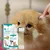FurryFusion Nettoyant Oreille Chien et Chat