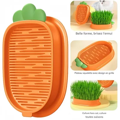 FurryFusion Plateau de plantation d'herbe à chat