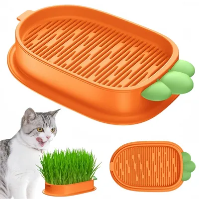 FurryFusion Bandeja para plantar hierba gatera