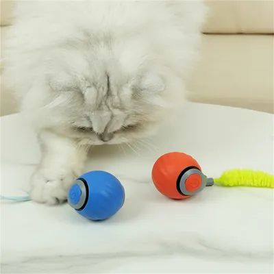 FurryFusion - Balle Électrique pour Chats