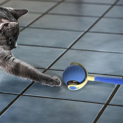 FurryFusion Jouet à bille roulante pour chat