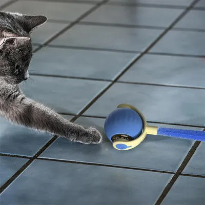 FurryFusion Jouet à bille roulante pour chat