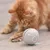 FurryFusion Jouet pour chat laser rotatif badminton