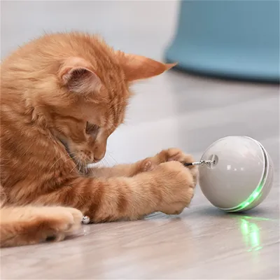 FurryFusion Jouet pour chat laser rotatif badminton