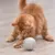 FurryFusion Jouet pour chat laser rotatif badminton