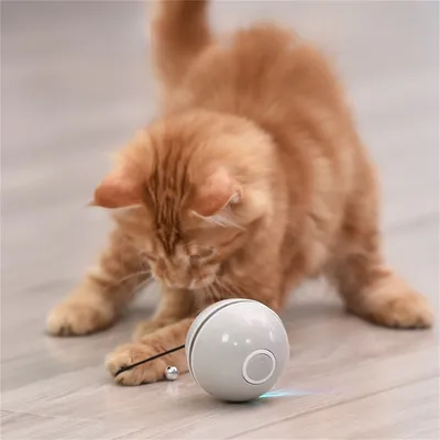 FurryFusion Jouet pour chat laser rotatif badminton
