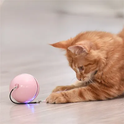 FurryFusion Jouet pour chat laser rotatif badminton