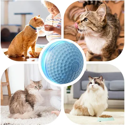 FurryFusion Balle électrique pour chat