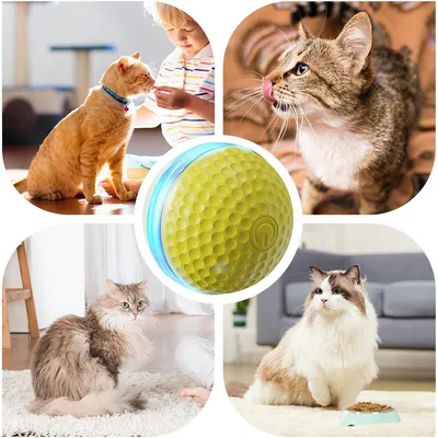 FurryFusion Balle électrique pour chat