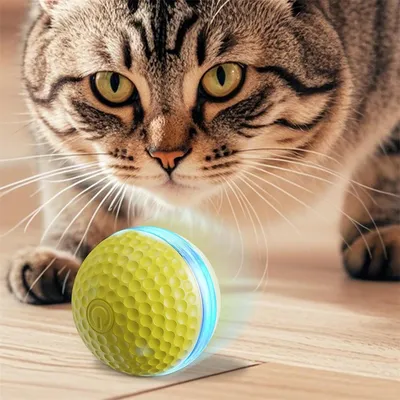 FurryFusion Balle électrique pour chat