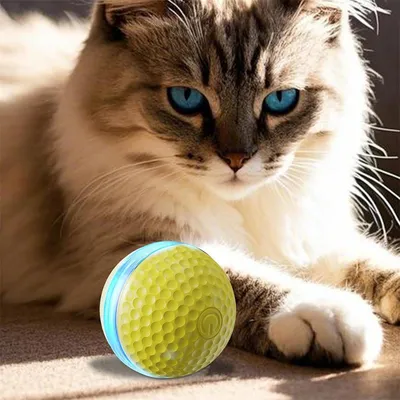 FurryFusion Balle électrique pour chat