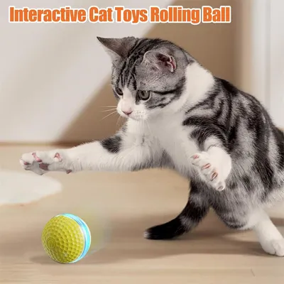 FurryFusion Balle électrique pour chat