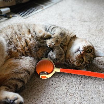 FurryFusion Jouet à bille roulante pour chat