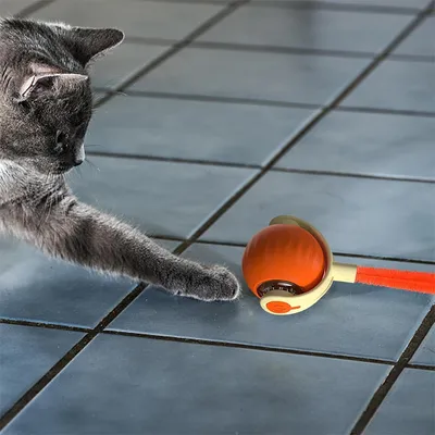 FurryFusion Jouet à bille roulante pour chat