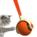 FurryFusion Jouet à bille roulante pour chat