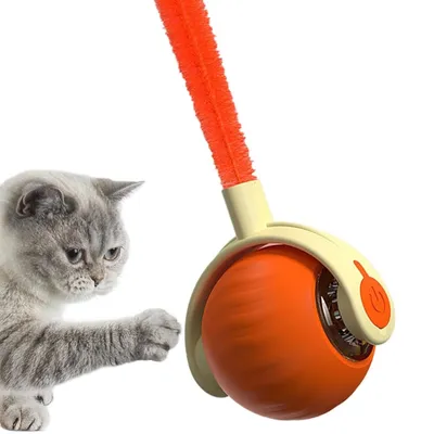 FurryFusion Jouet à bille roulante pour chat