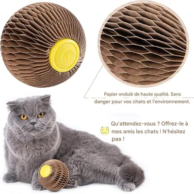 FurryFusion Balle d'herbe à chat en carton ondulé