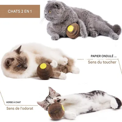 FurryFusion Balle d'herbe à chat en carton ondulé