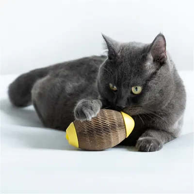 FurryFusion Balle d'herbe à chat en carton ondulé