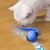 FurryFusion Balle électrique pour chat, tous sols