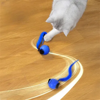 FurryFusion Balle électrique pour chat, tous sols