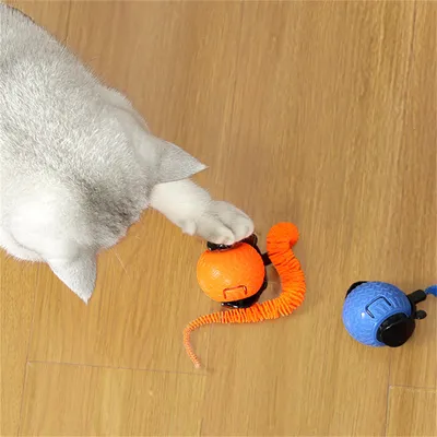 FurryFusion Balle électrique pour chat, tous sols