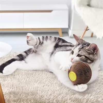 FurryFusion Balle d'herbe à chat en carton ondulé