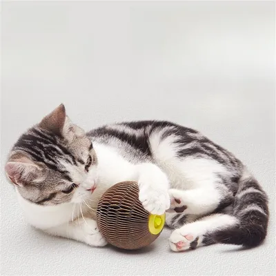 FurryFusion Balle d'herbe à chat en carton ondulé