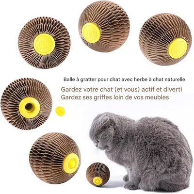 FurryFusion Balle d'herbe à chat en carton ondulé